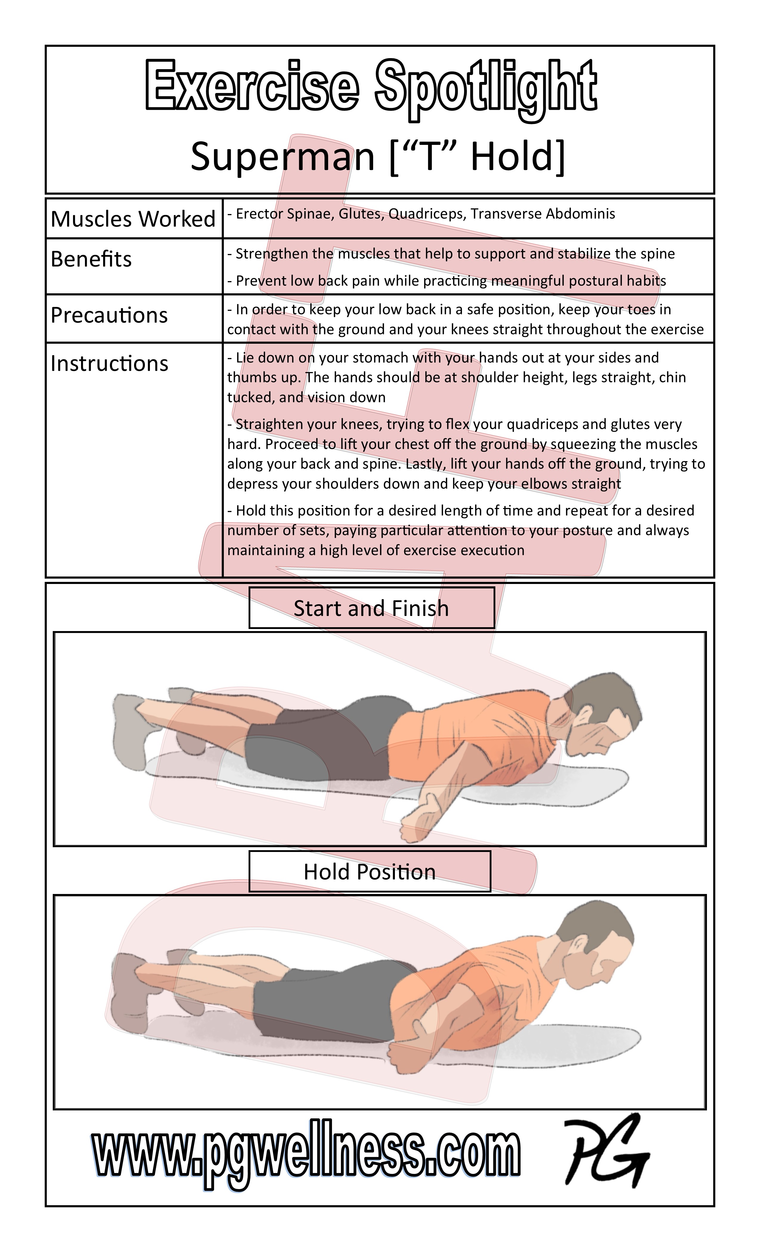 Superman plank top muscles worked